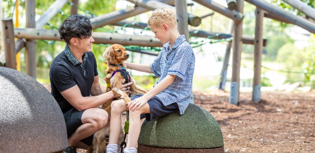 Hugo_Therapy Dog
